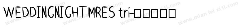 WEDDINGNIGHTMRES tri字体转换